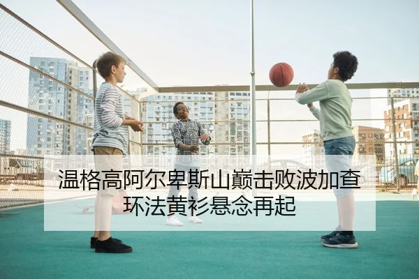 温格高阿尔卑斯山巅击败波加查 环法黄衫悬念再起